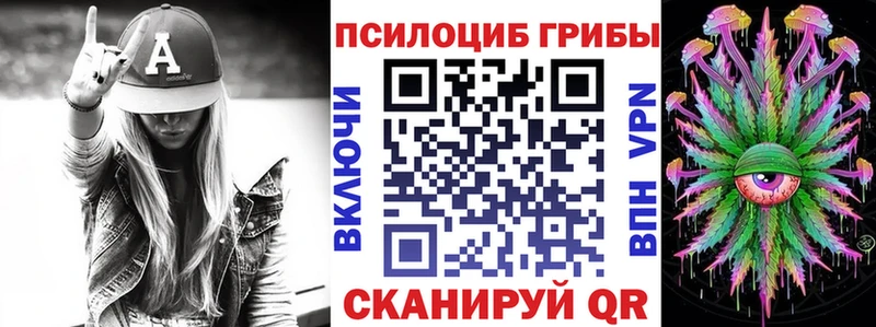 Купить где  Нурлат  Псилоцибиновые грибы Psilocybine cubensis 